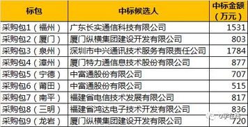 本地守护者崛起 福建铁塔8590万基站代维项目中标透视